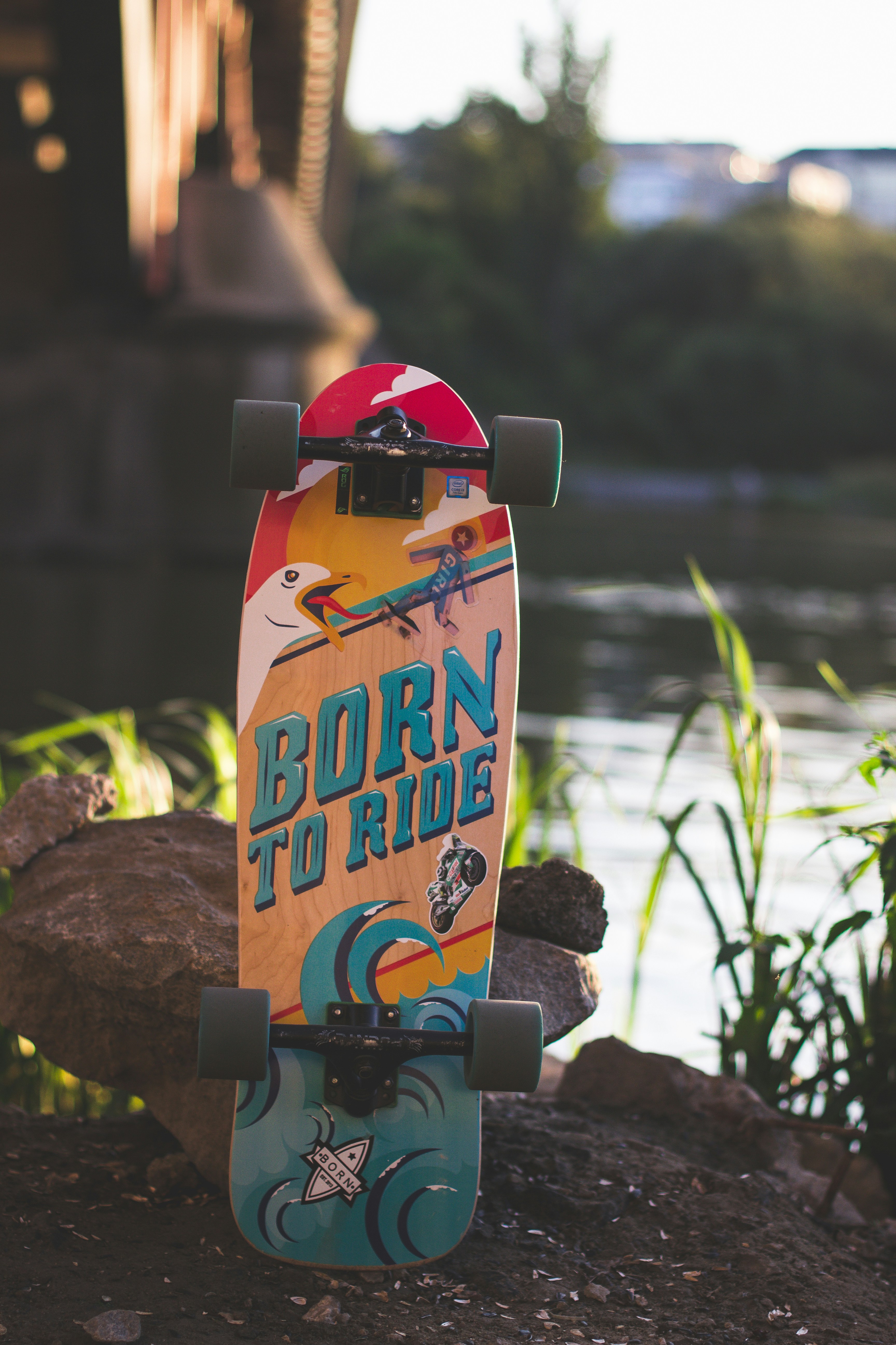 SaltRide Cruiser Board