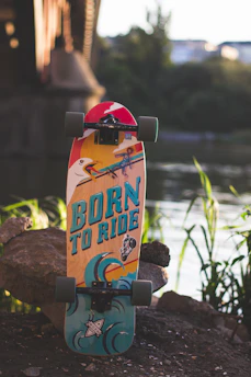 A colorful skateboard with graphics and the phrase 'BORN TO RIDE' stands upright on a rocky surface beside a river. The design includes waves, a flying bird, and a sunset. In the background, a bridge and trees are visible under soft evening light.
