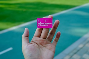A hand is holding a small pink ticket with the text 'National Museum of Singapore' visible. The background consists of a blurred outdoor pathway and green grassy area.
