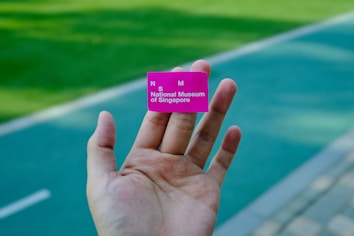 A hand is holding a small pink ticket with the text 'National Museum of Singapore' visible. The background consists of a blurred outdoor pathway and green grassy area.