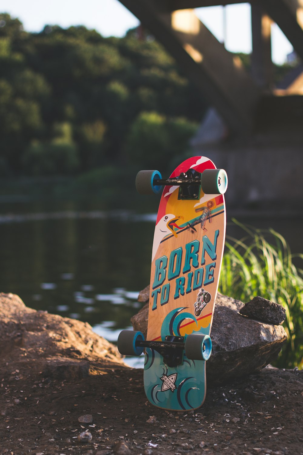 red and blue skateboard deck beside river