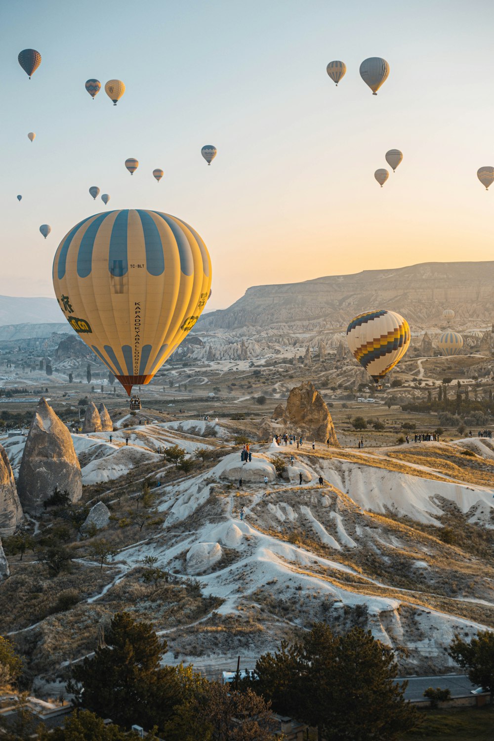 Photographie aérienne de ballons à air chaud