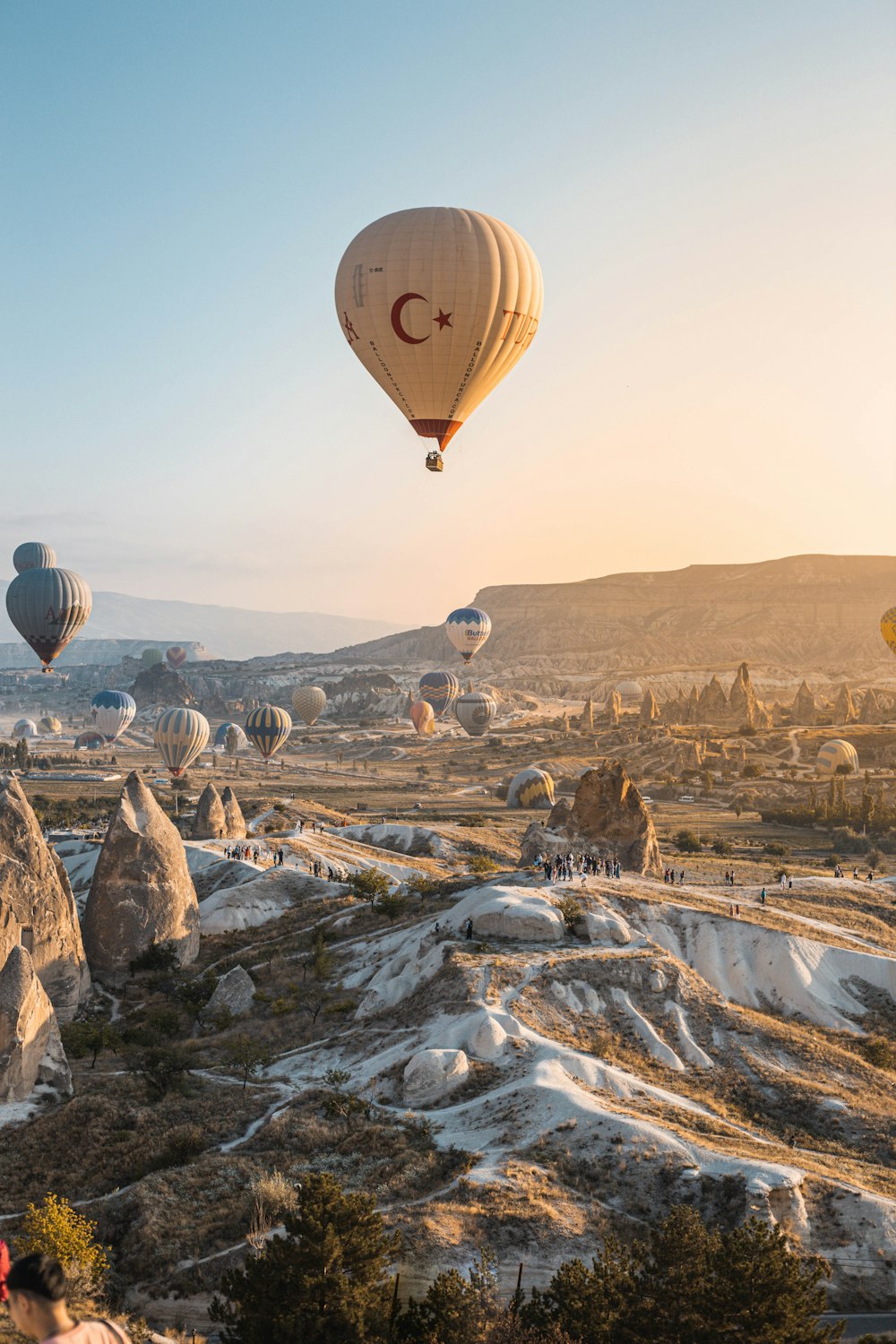 assorted-color of hot air balloons