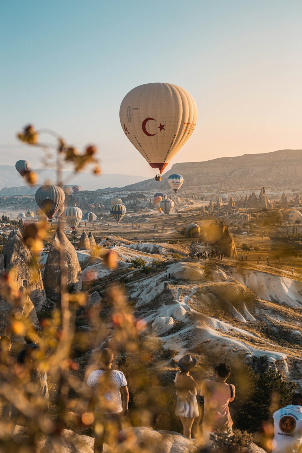 people standing and watching hot air balloons