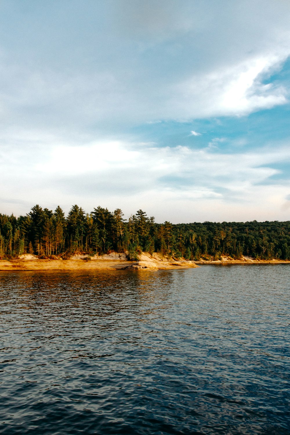 green trees and ocean