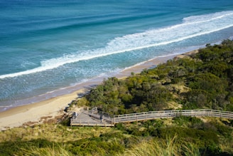A coastal landscape featuring a sandy beach bordered by calm, turquoise ocean waves. Dense green foliage occupies the foreground, with a wooden boardwalk winding through it, leading towards the shore.