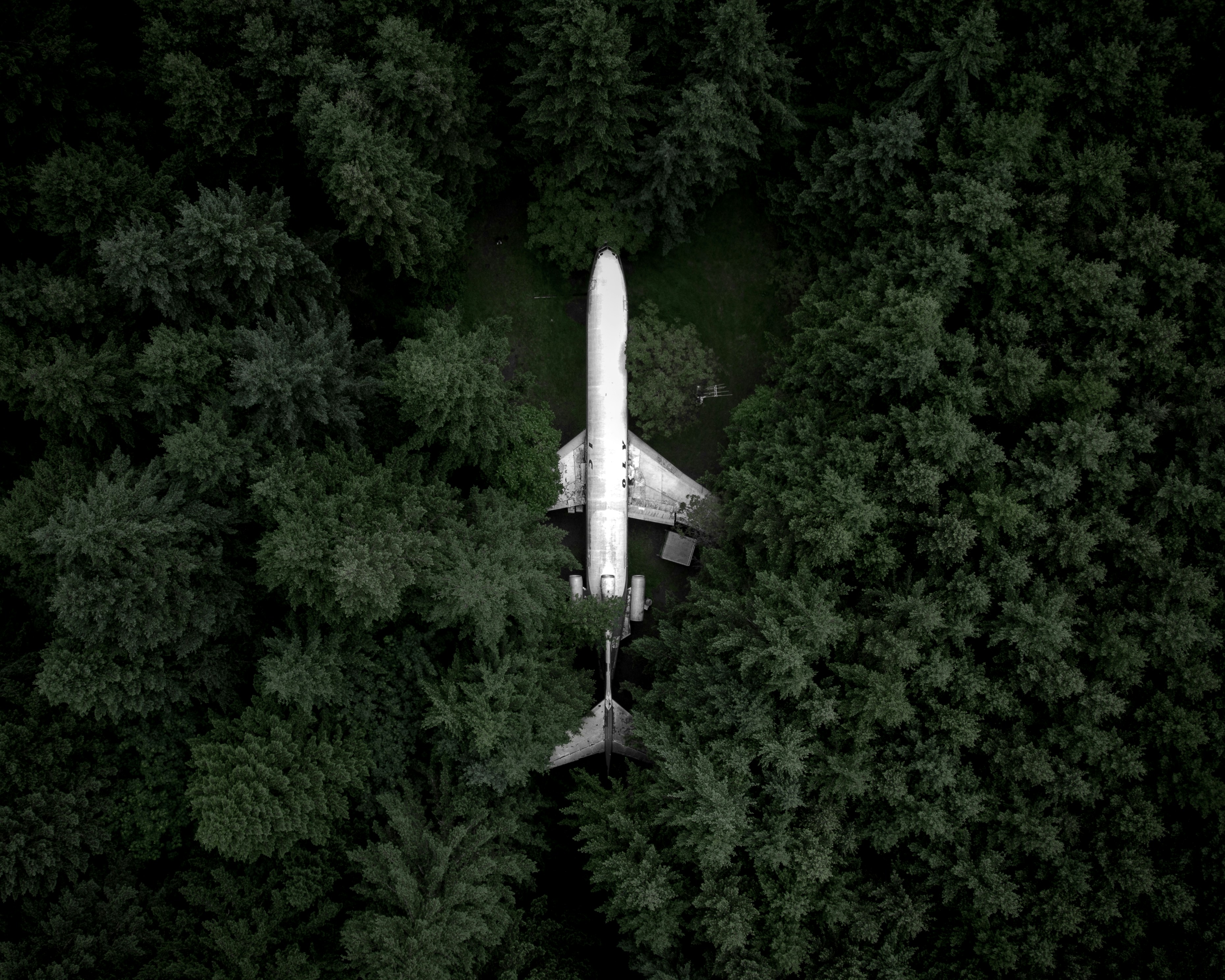 white airplane in the middle of the forest during day space shuttle teams background