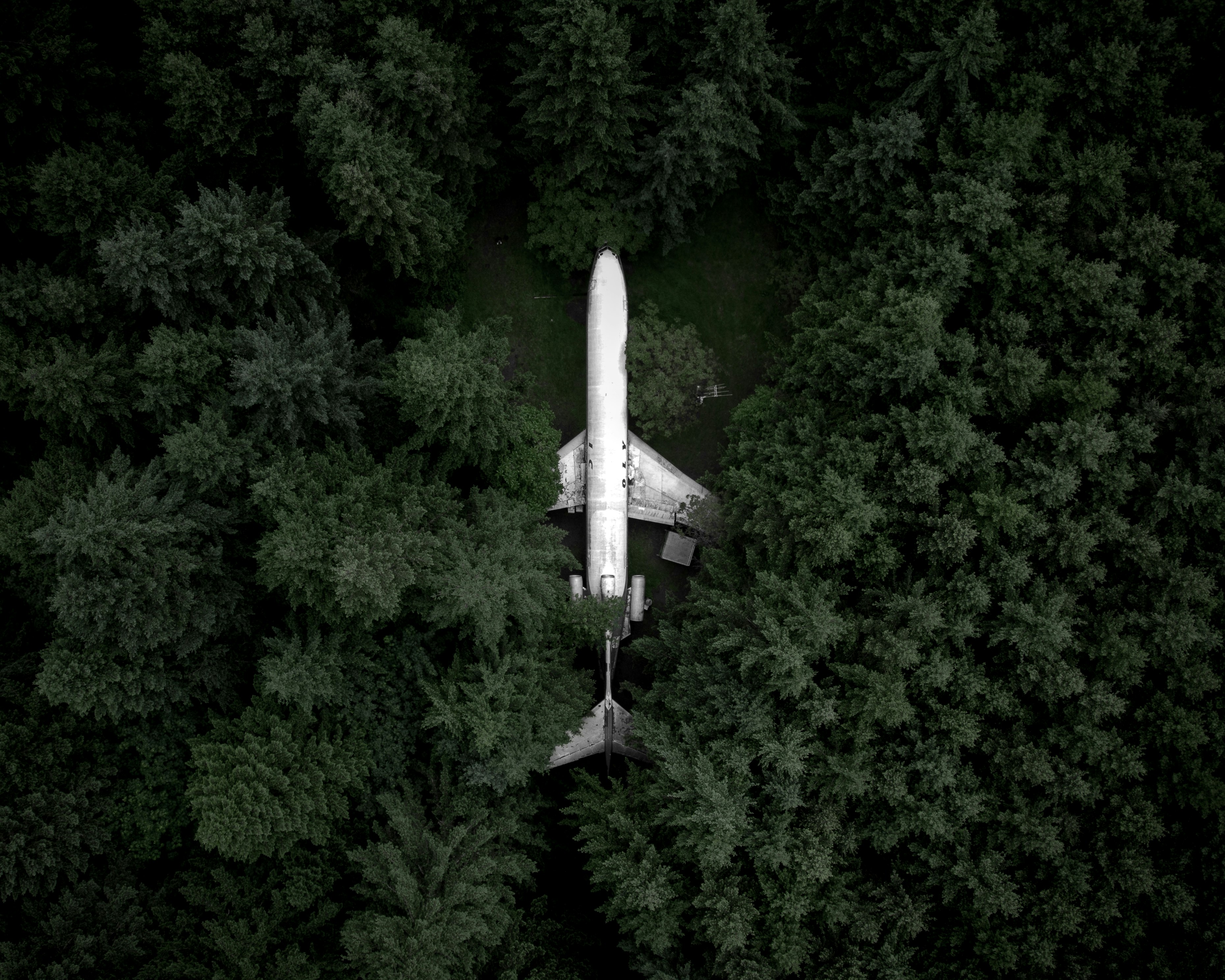 white airplane in the middle of the forest during day