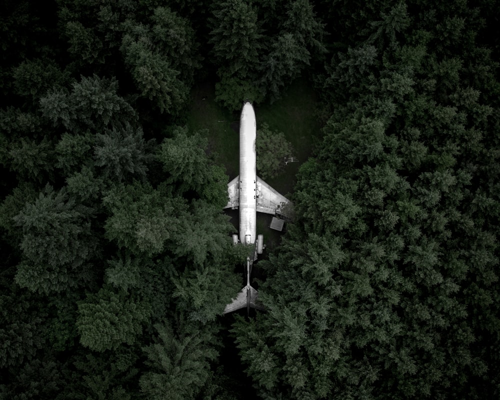 white airplane in the middle of the forest during day