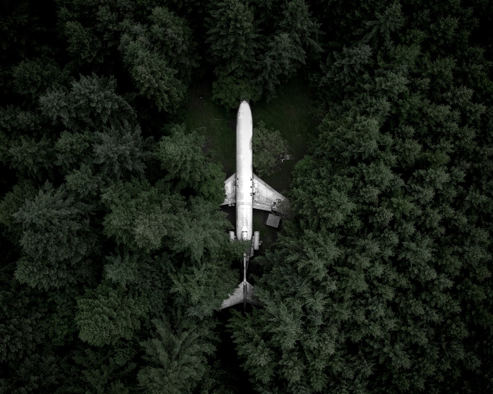昼間の森の真ん中に浮かぶ白い飛行機