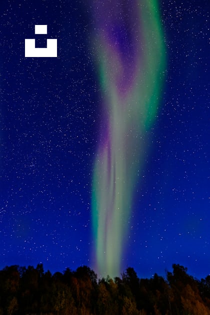 Aurora borealis at night photo – Free Tromsoe norway Image on Unsplash