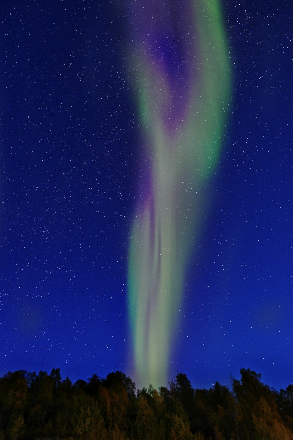 aurora borealis at night