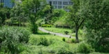A winding walking path through a sustainably landscaped park with native plants.