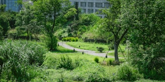 A community park with winding paths, lush greenery, and stone features.