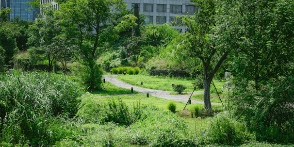 A serene city park with diverse native plants flourishing alongside pathways where kids explore.