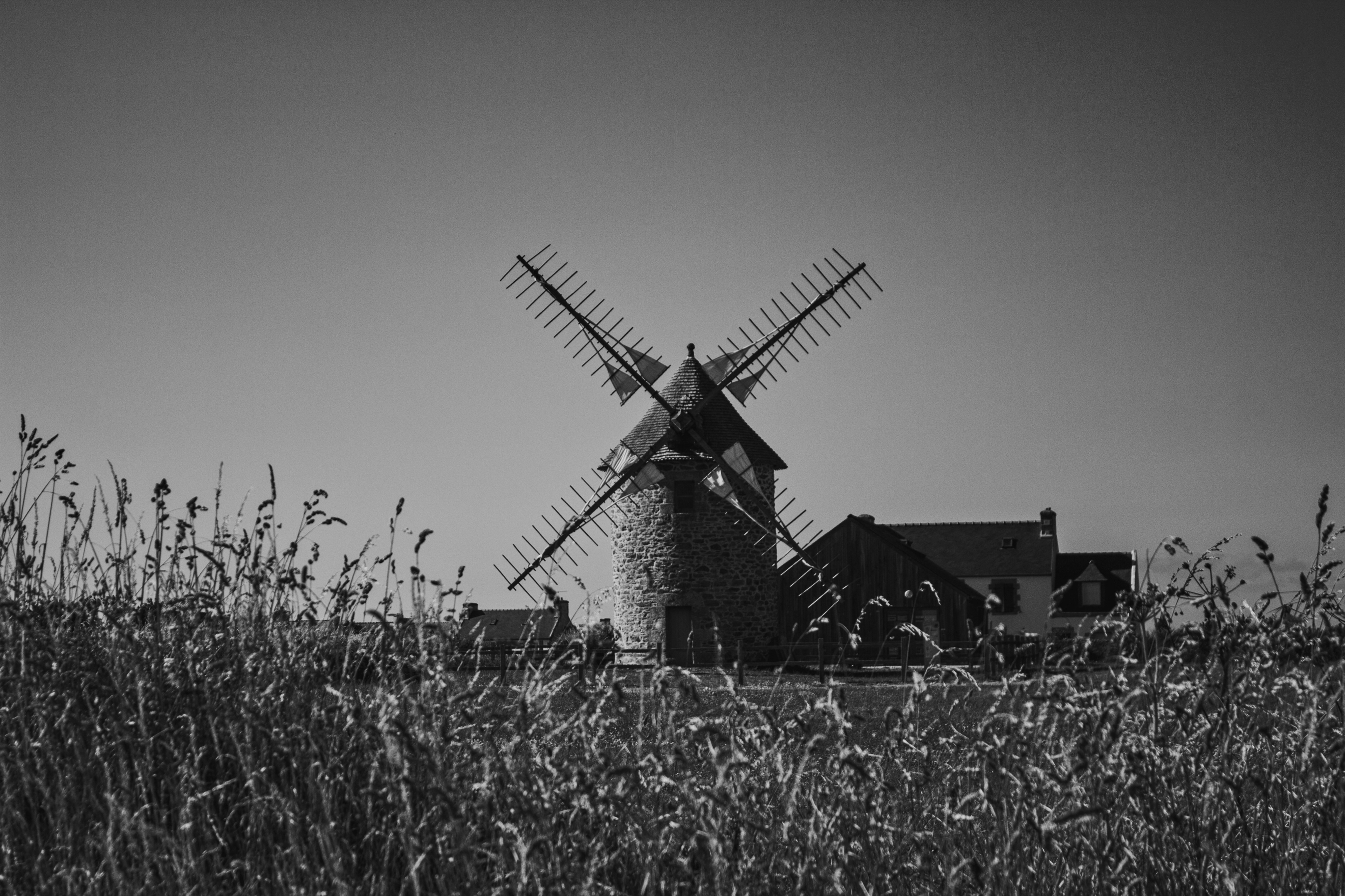 Photo by hannahrdg