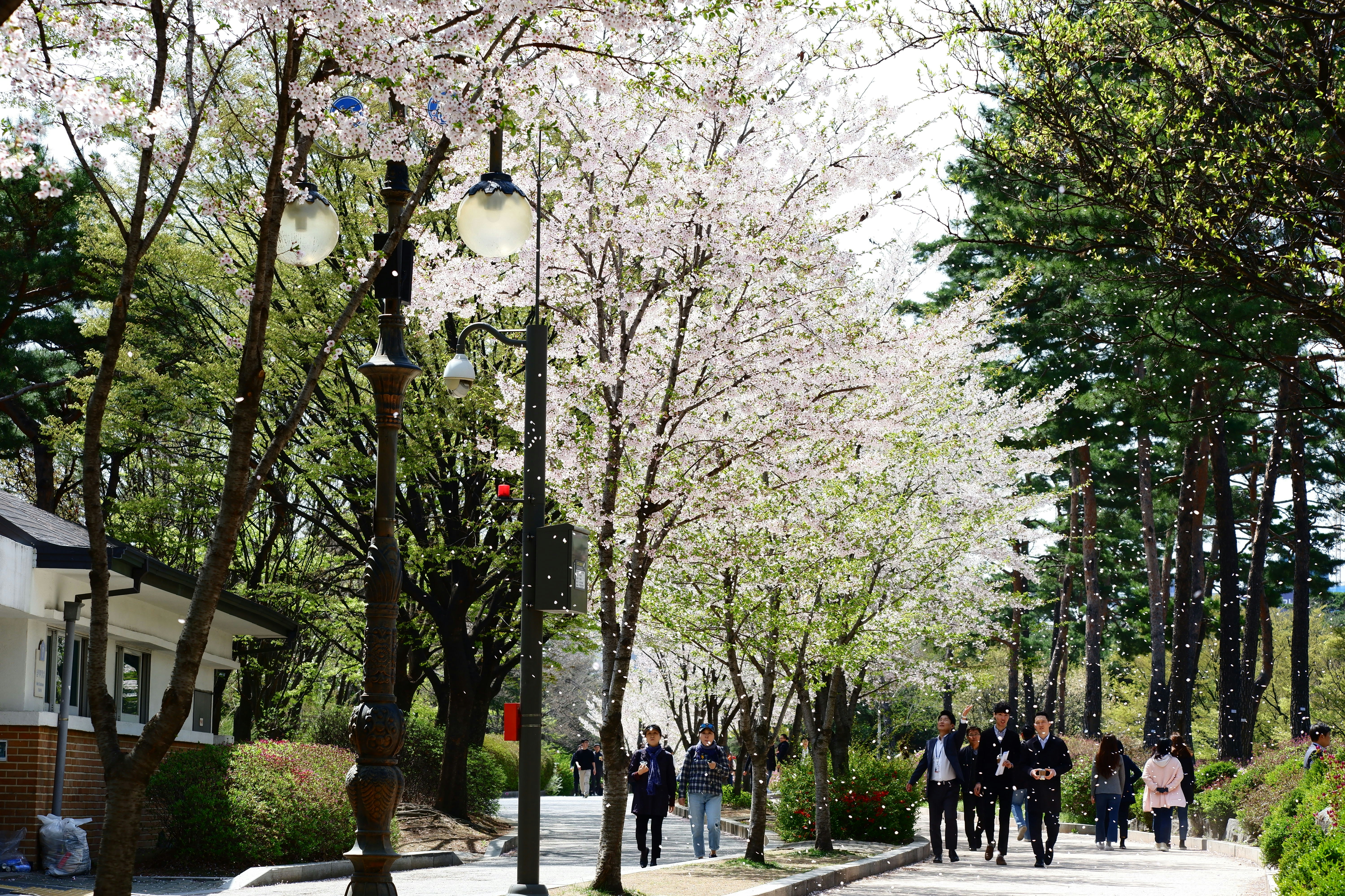 Photo by dorothyyip9795