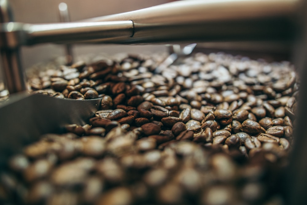 Fotografía de enfoque superficial de granos de café marrón