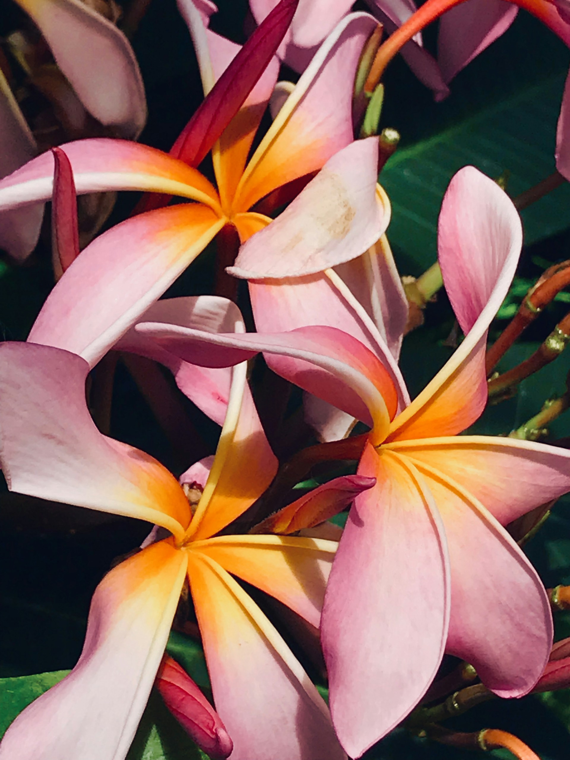 woman wearing yellow long-sleeved dress under white clouds and blue sky during daytime