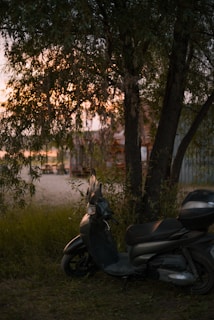 A scooter resting beside a tree with brown leather accents blending with nature.