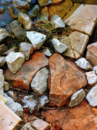 Various sized stones and rocks lie in an arrangement on the ground, with a mix of lighter gray and reddish-brown tones. Some of the rocks are surrounded by sparse grass and small patches of green plants, indicating a natural outdoor setting. The texture of the rocks is rugged and uneven.