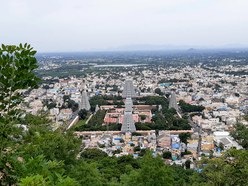 Top Fine Dining Restaurants in Tiruvannamalai for a Truly Special Meal