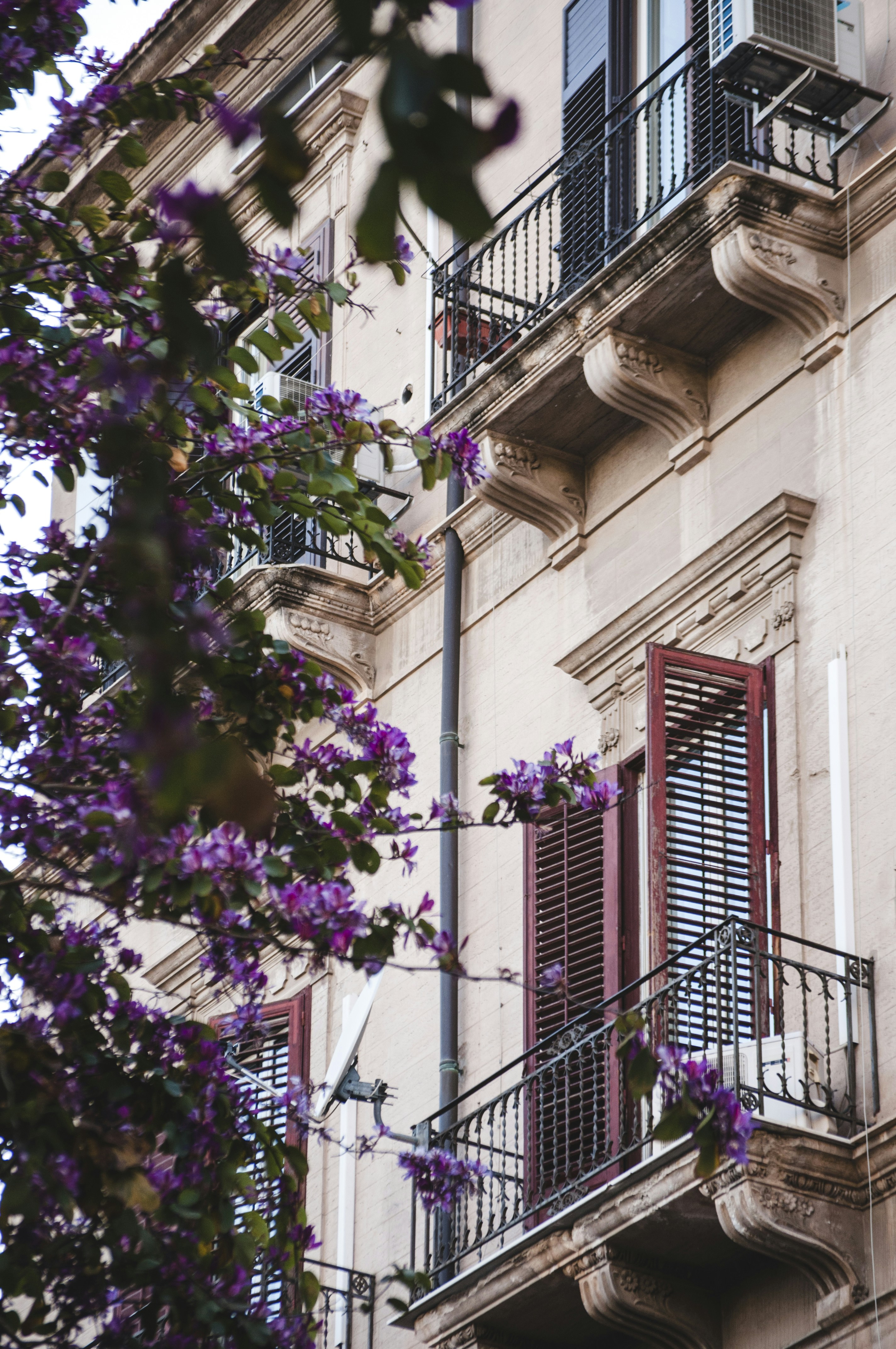 Photo by yuli_superson