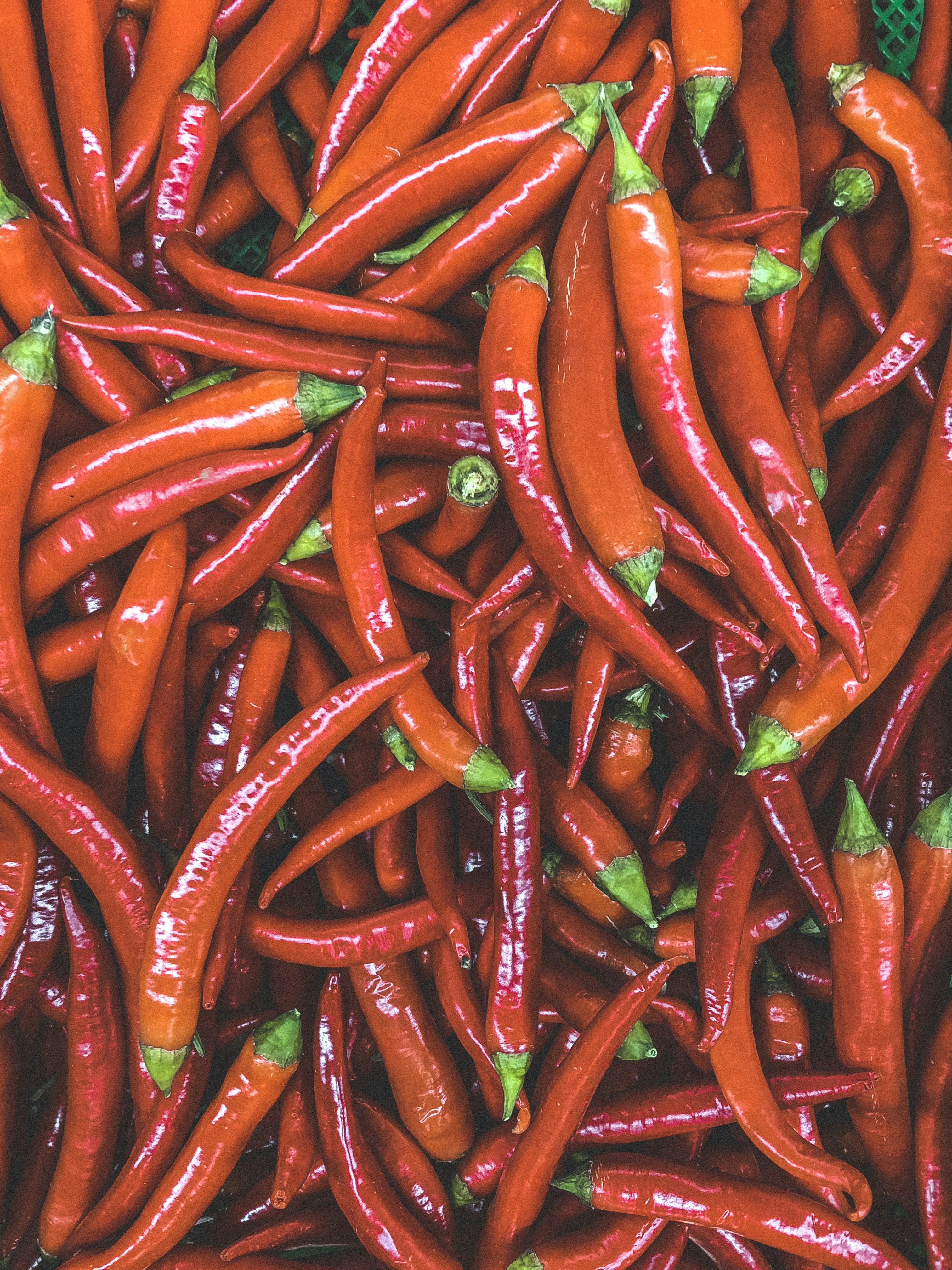 Photo by goodfuckingframes