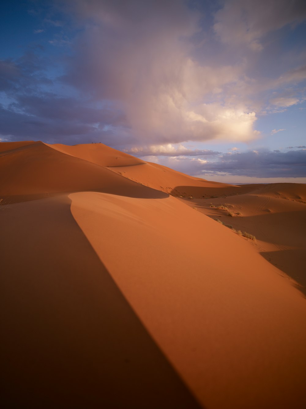 desert under white clouds