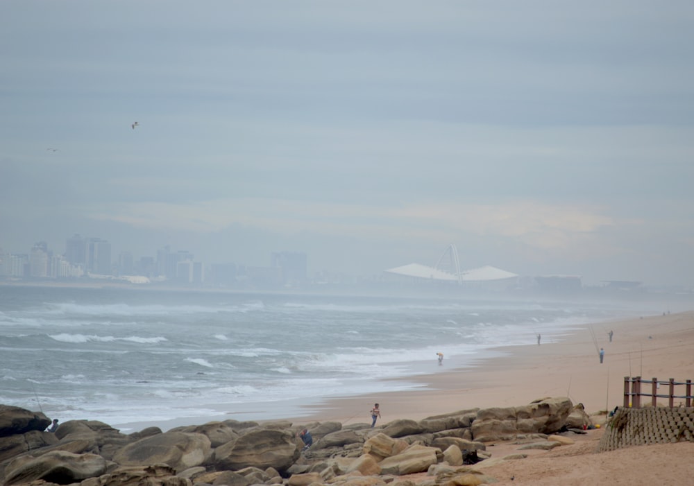 people standing on shore