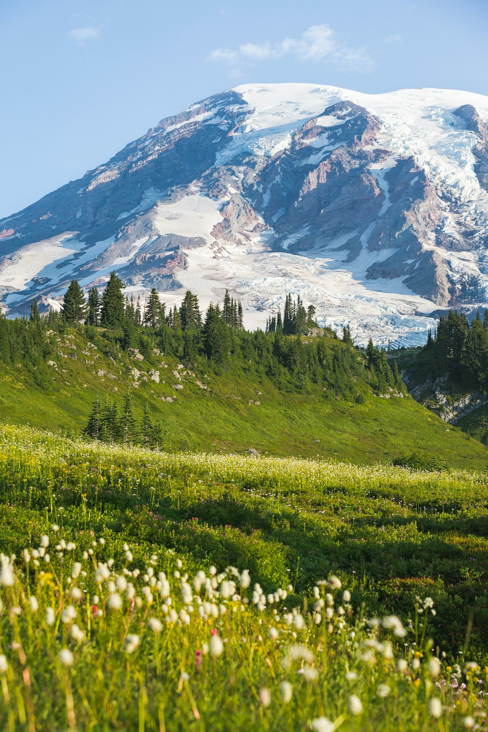 green trees near mountain