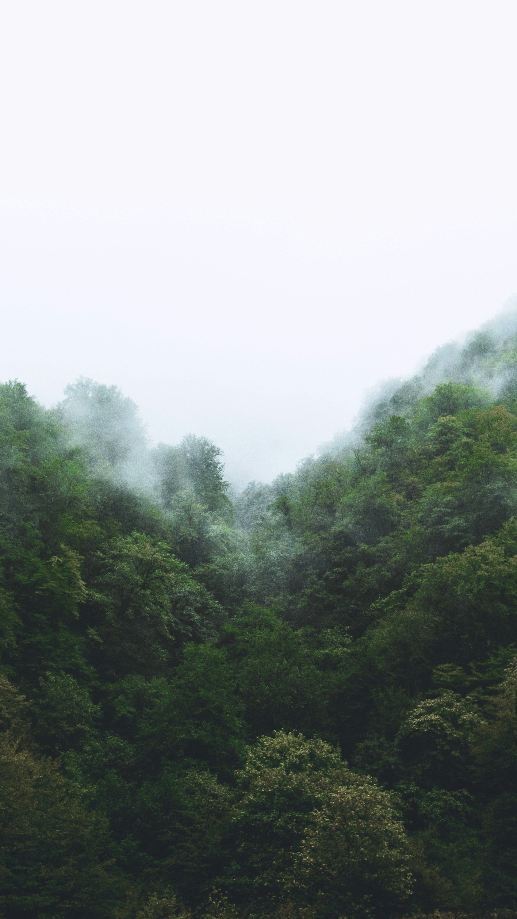 Photo by pabdolpanah