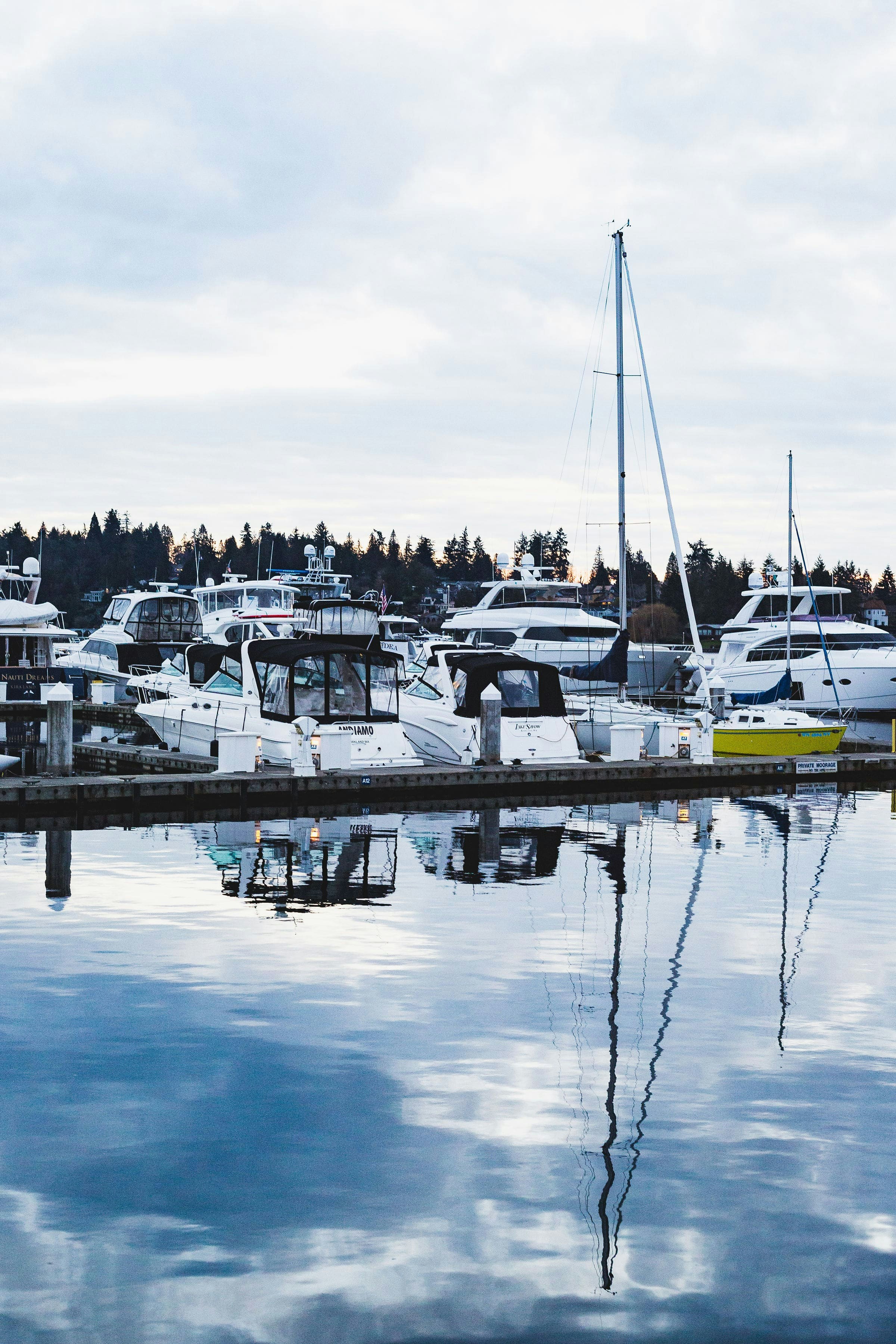 Photo by madeleinewilsonphoto