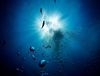 An underwater scene featuring a burst of sunlight streaming through the water. Several fish are silhouetted against the light, and numerous air bubbles rise towards the surface creating a dynamic and lively atmosphere.