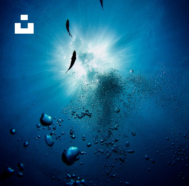 UnsplashのMax Gottsが撮影した写真