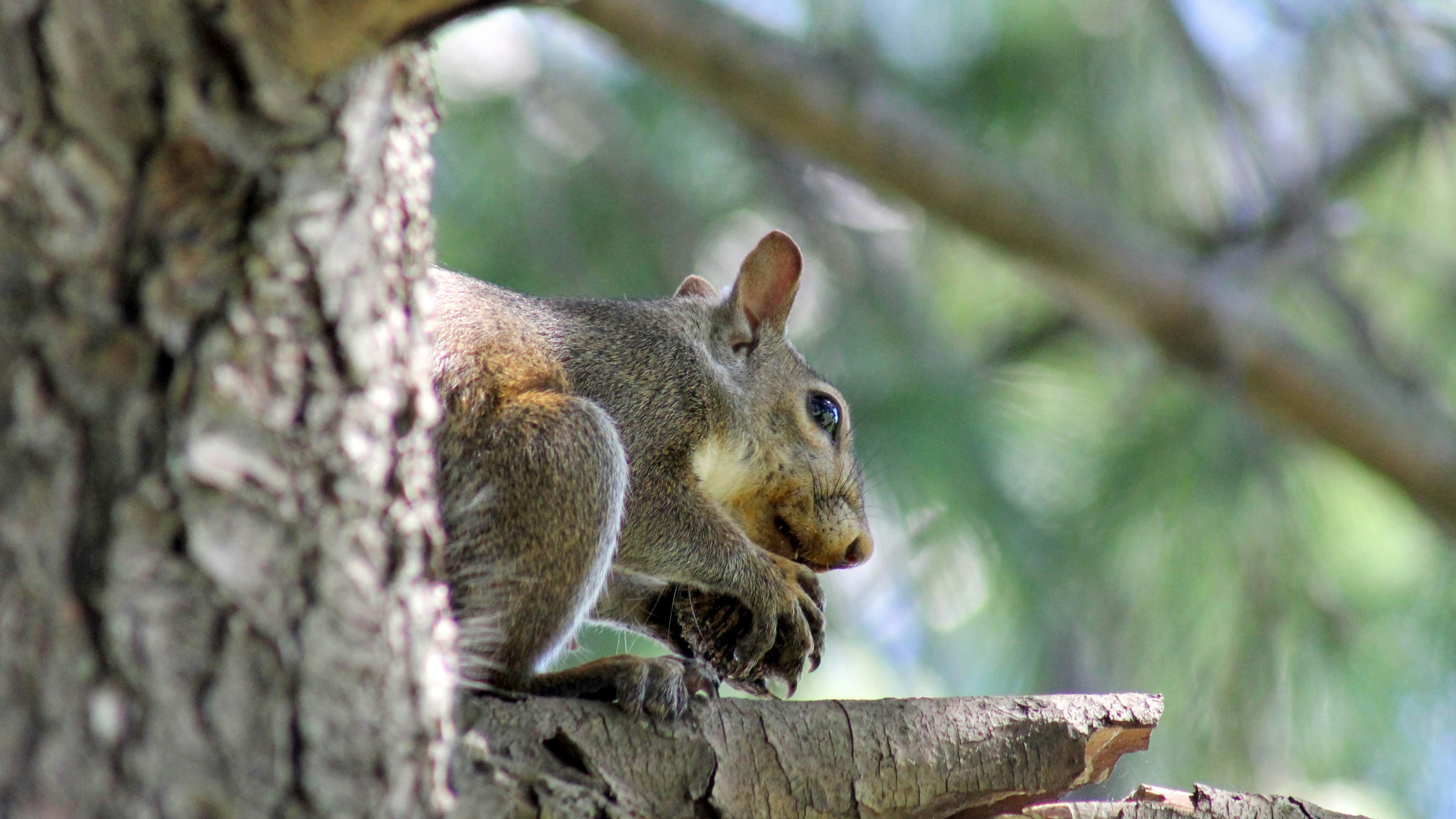 Photo by keitheknapp