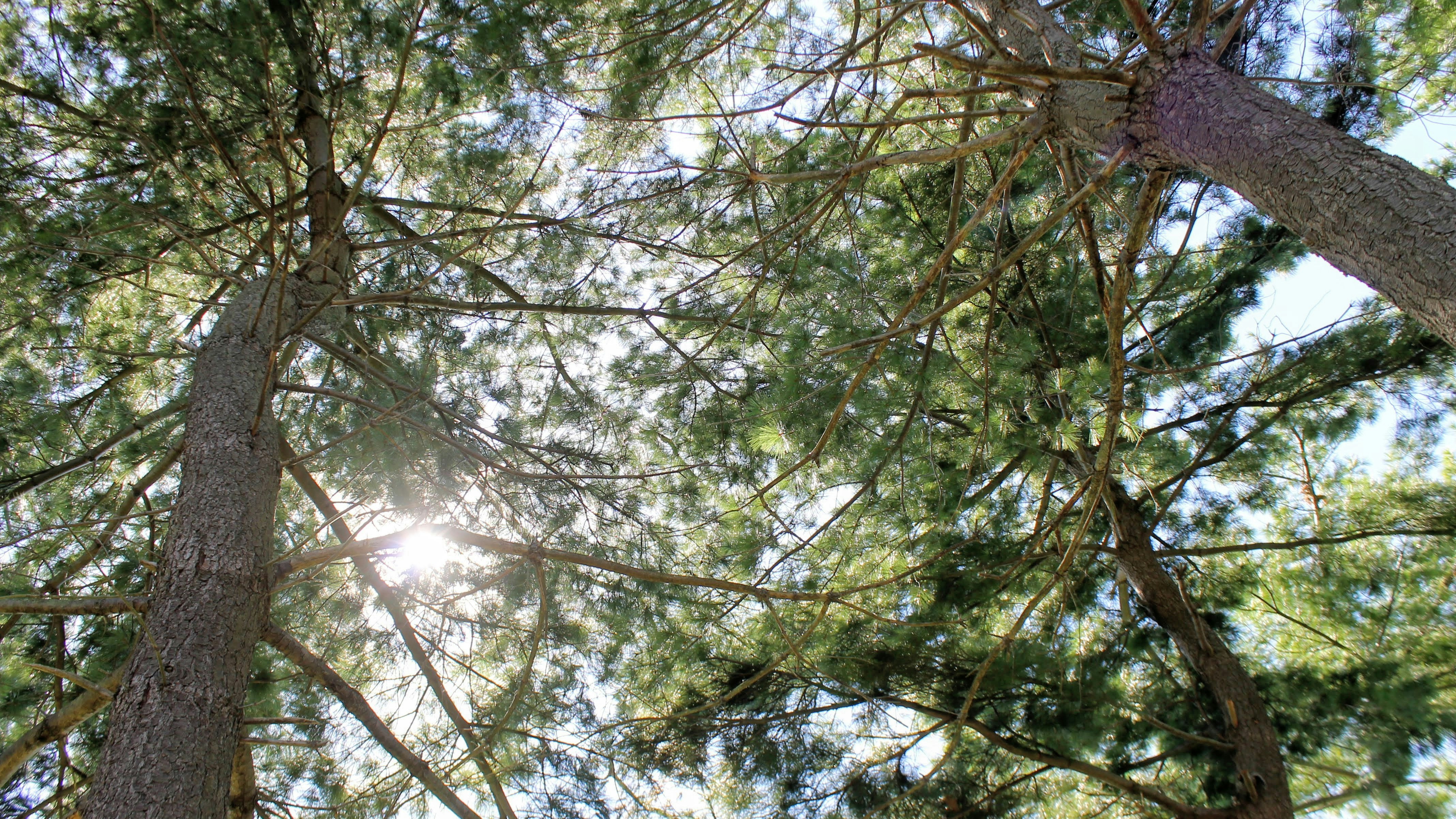 Photo by keitheknapp