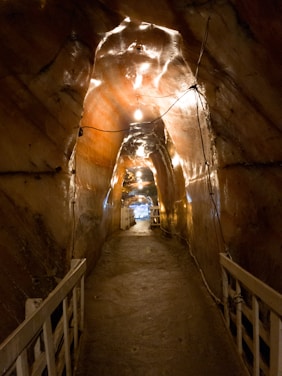 A narrow underground tunnel with smooth, glistening walls that appear to be made of salt or a similar mineral. The path is dimly lit by a series of small overhead lights, creating a warm and slightly eerie glow. The tunnel is flanked by wooden railings on both sides, guiding the path forward.