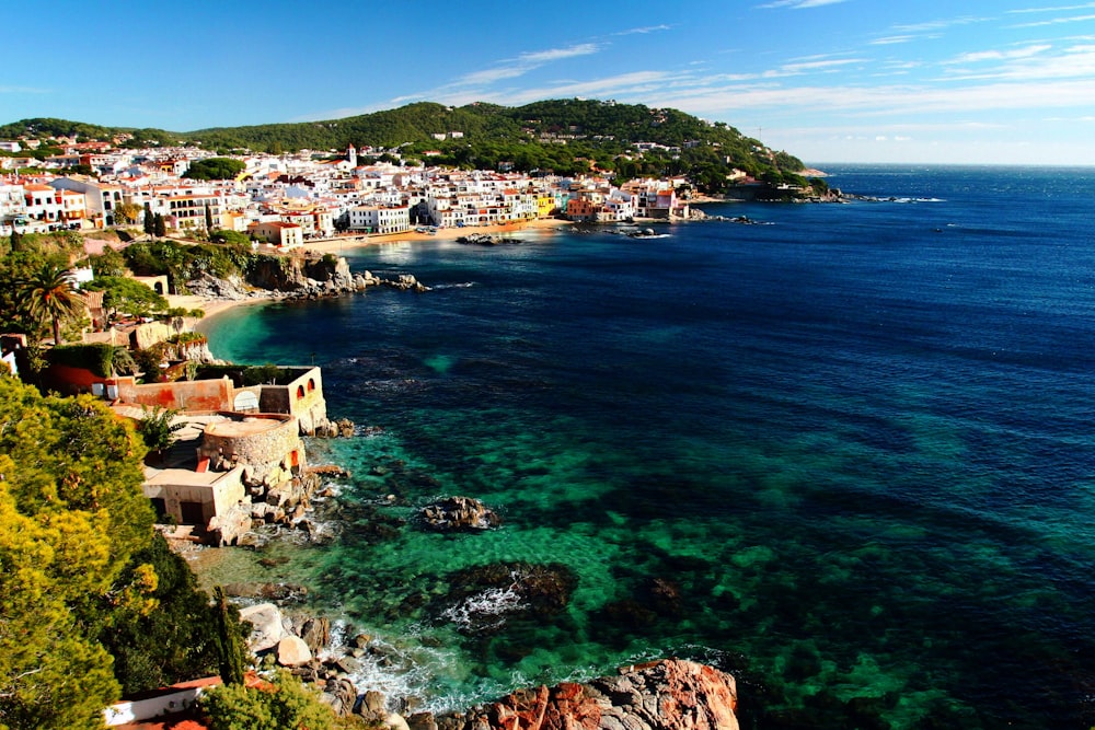 view of buildings at shore during daytime