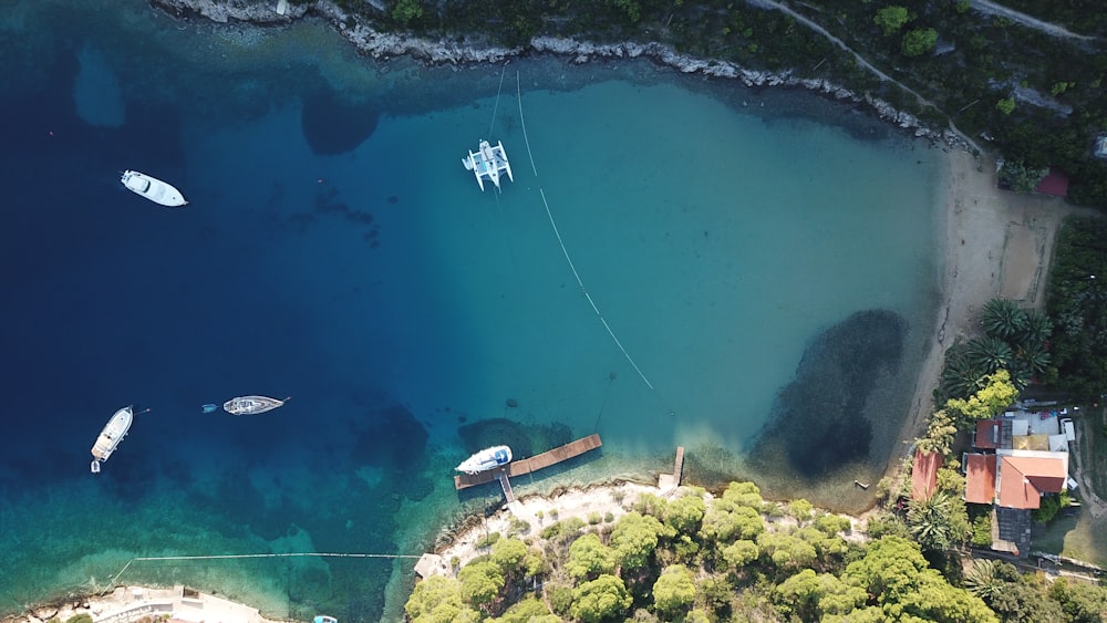 aerial photography of boats