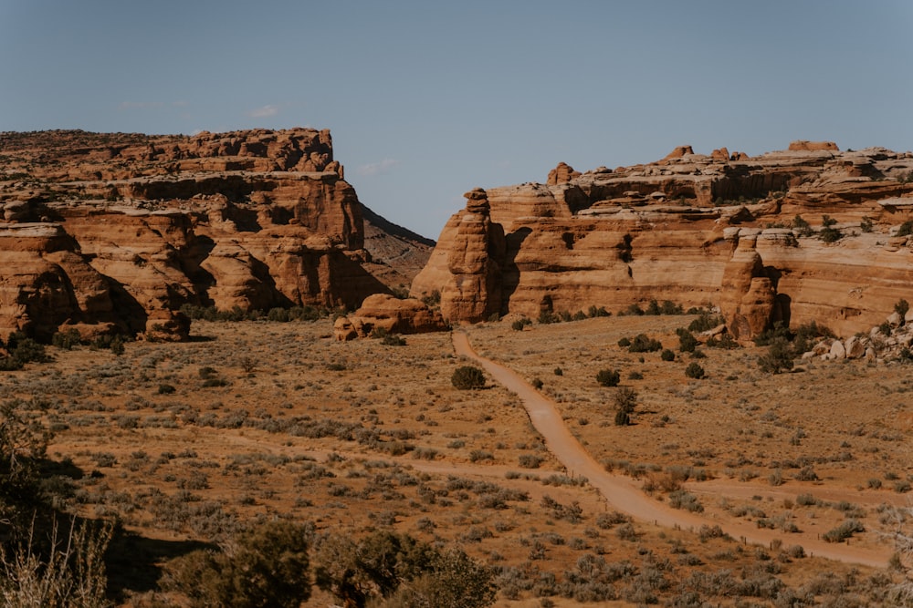 landscape photography of brown canyon