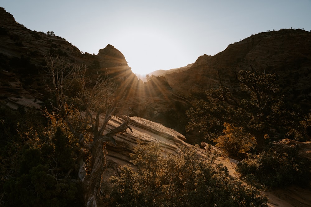 mountains during daytime