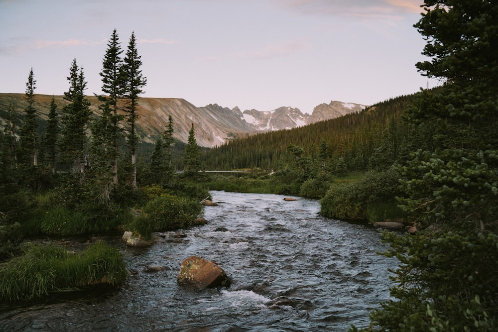 river during daytime