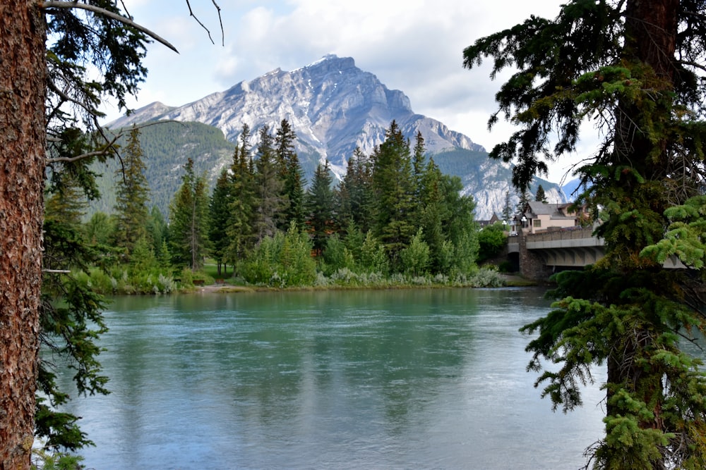 body of water beside rocky mountain during daytime