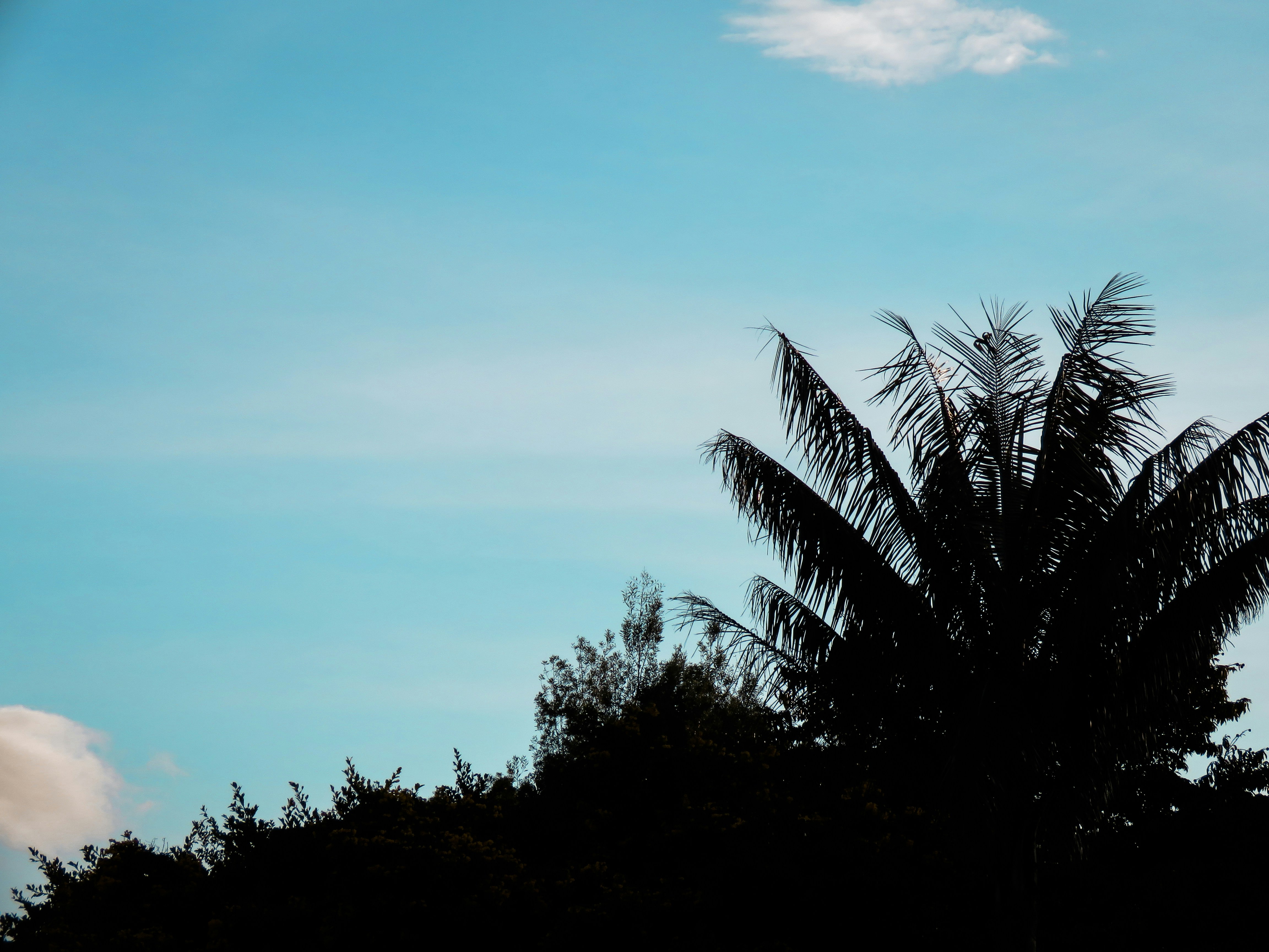 Photo by carlosandres11