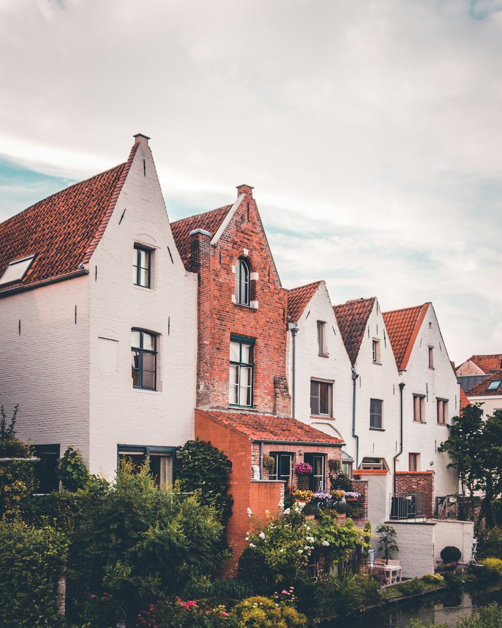 white concrete houses