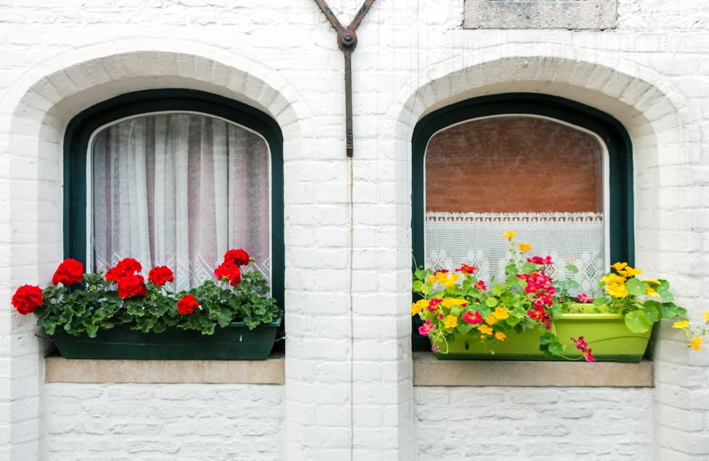 flower beds