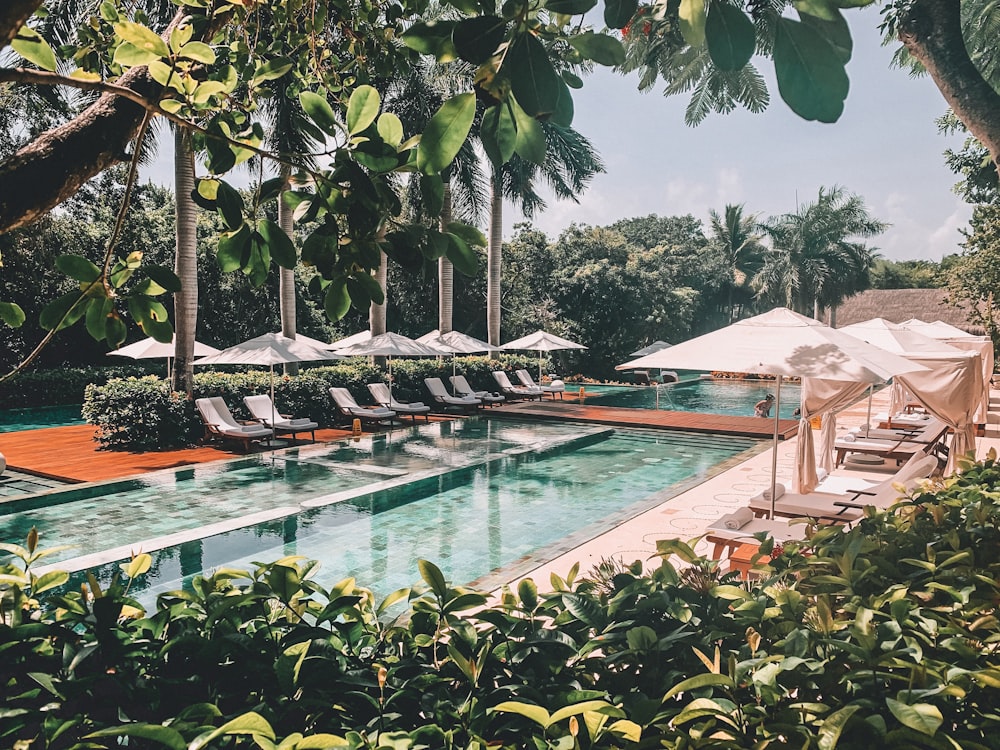 Piscina blanca y azul