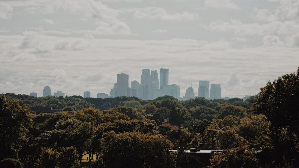 forest beside city