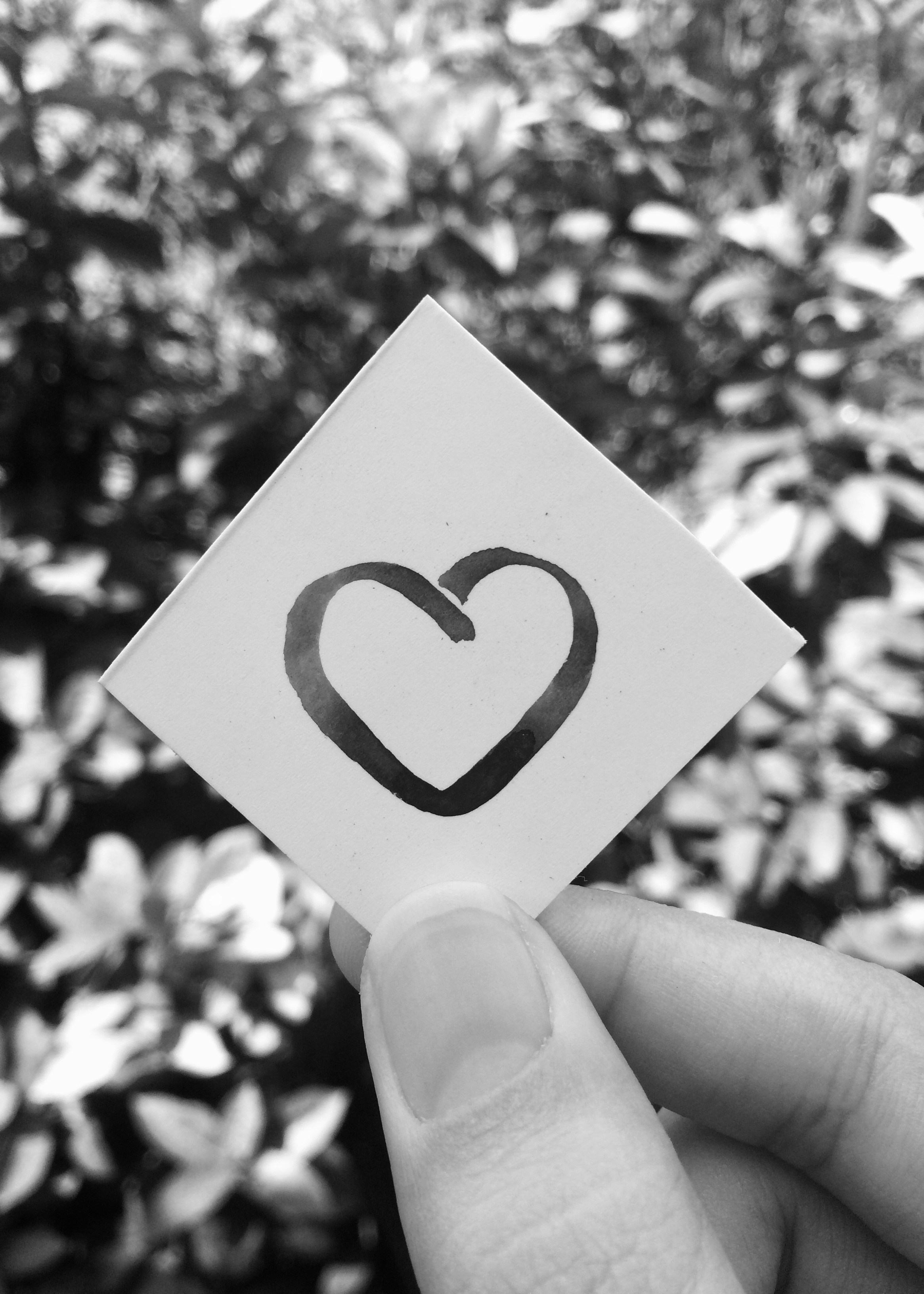 Photo by soffiamurasaki